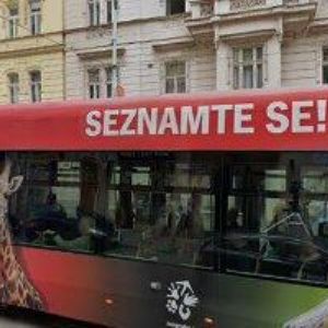 obrazek: avatar PODLAHY-AUGUSTA PETR