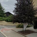 OPTIKNET SERVICES s.r.o.