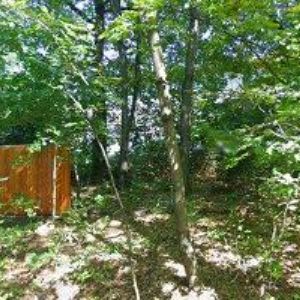 obrazek: avatar ARCHERY.CZ