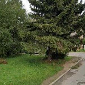 obrazek: avatar COLORADO SKI RENTAL s.r.o.