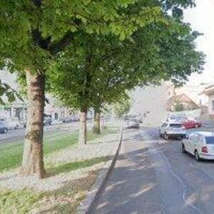 obrazek: avatar ORION DIAGNOSTICA