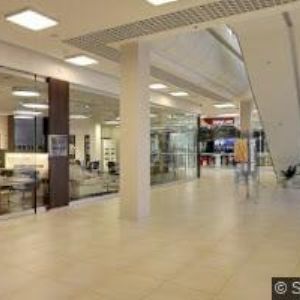 obrazek: avatar ZLAŤÁKY.CZ