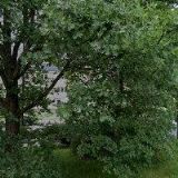 SYMPOSION AUKČNÍ SÍŇ, s.r.o.