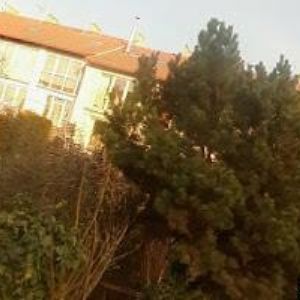 obrazek: avatar WAGNER SERVICECENTRUM s.r.o.