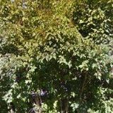 PEIKKO CZECH REPUBLIC s.r.o.