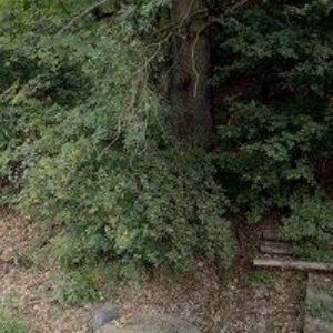 obrazek: avatar WOODPROJECT s.r.o.