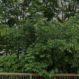 obrazek: avatar GISCOM v.o.s.