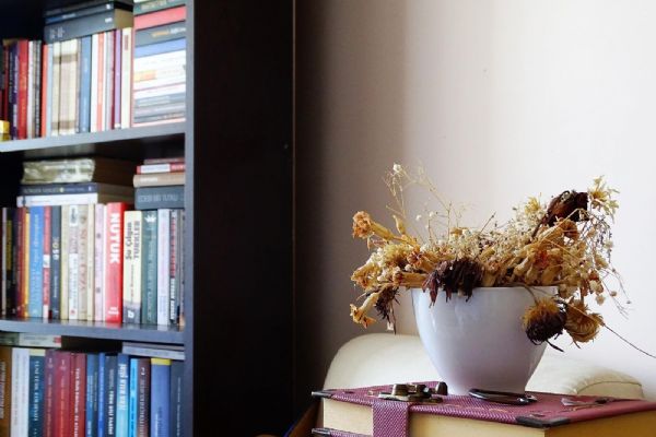 Jak zařídit domácí knihovnu?