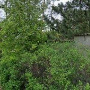 obrazek: avatar ŠERÝ PAVEL