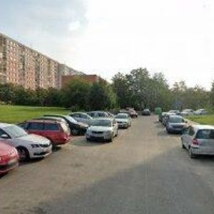 obrazek: avatar MUSIL ROBERT