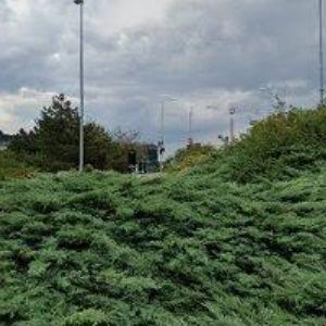 obrazek: avatar AUTOSERVIS BUREŠ