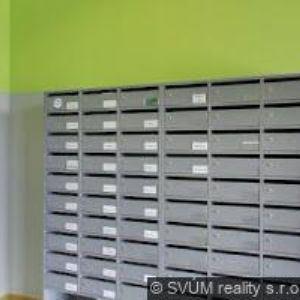 obrazek: avatar BALVÍN AGENCY s.r.o.