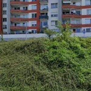 obrazek: avatar AUTO JV SERVIS