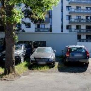 obrazek: avatar THROTTLE PUNKS s.r.o.