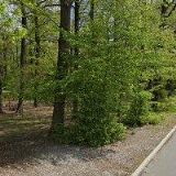 TŘÍSKA JAKUB-JAT SERVIS