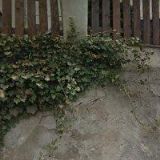 KUBIČKOVÁ MONIKA-KADEŘNICTVÍ K