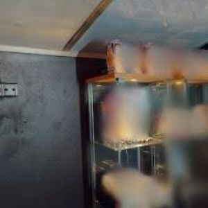 obrazek: avatar VLASOVÉ STUDIO PALME