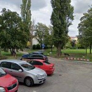 obrazek: avatar SVOBODOVÁ ALBÍNA