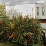 STUDIO ČTYŘLÍSTEK