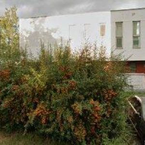 obrazek: avatar STUDIO ČTYŘLÍSTEK