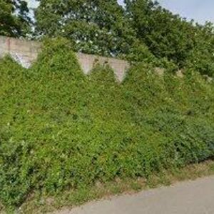 obrazek: avatar MASÁŽE SUMANKA