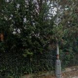 REHABILITAČNÍ KLINIKA AVETE OMNE, s.r.o.