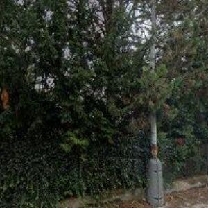 obrazek: avatar REHABILITAČNÍ KLINIKA AVETE OMNE, s.r.o.