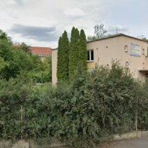 obrazek: avatar ČESKÁ NEMOCNIČNÍ