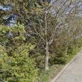 SALÓN CASHMERE s.r.o.