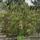 HOMOLKA RELAXAČNÍ CENTRUM A BAZÉN