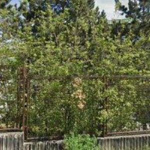 obrazek: avatar HOMOLKA RELAXAČNÍ CENTRUM A BAZÉN