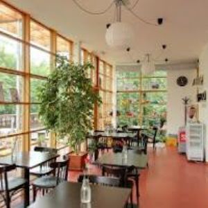 obrazek: avatar DĚTSKÉ INTEGRAČNÍ CENTRUM A MATEŘSKÁ ŠKOLA s.r.o