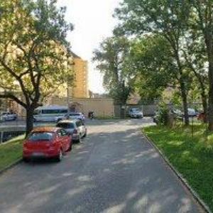 obrazek: avatar REGENEO s.r.o.