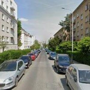 obrazek: avatar LOSOVÁ SALOME DiS.