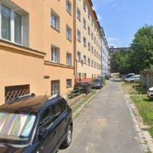 obrazek: avatar DVOŘÁKOVÁ LADA