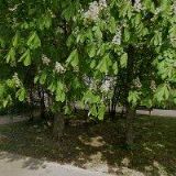 MUDr. NEDĚLKA s.r.o.