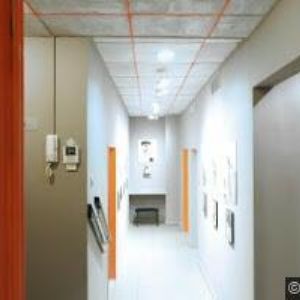 obrazek: avatar STUDIO ALIPTE