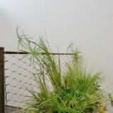 CENTRUM KOMPLEXNÍ PÉČE ROSETA s.r.o.