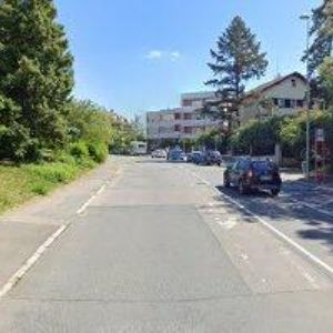 obrazek: avatar JANÁKOVÁ MONIKA