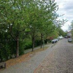 obrazek: avatar SALON MELIDORA