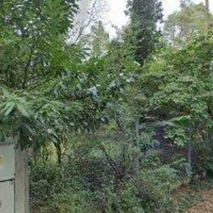 obrazek: avatar YOGA KLÁNOVICE