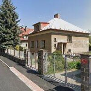 obrazek: avatar DVOŘÁKOVÁ OLGA