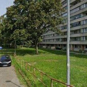 obrazek: avatar MÁTLOVÁ DANUŠE