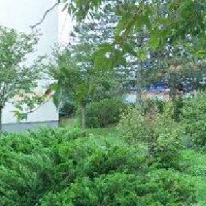 obrazek: avatar HLADÍLKOVÁ EVA Ing.