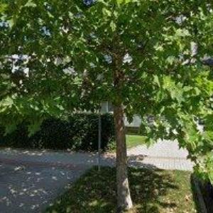 obrazek: avatar EXPERT SALON JULIA