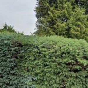 obrazek: avatar KRUKOVÁ JANA Mgr.