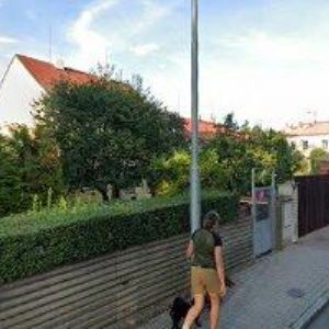 obrazek: avatar BEMER INSTITUT