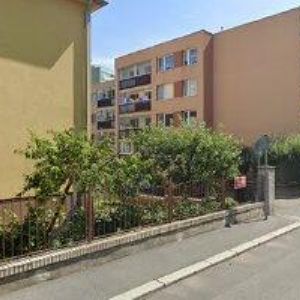 obrazek: avatar SCHÜTZOVÁ LUCIE