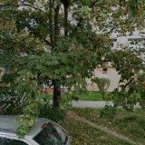 LENCOVÁ VĚNCESLAVA