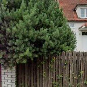 obrazek: avatar MASÁŽE HANA